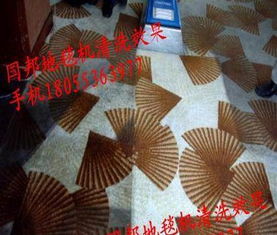 威霸國邦R 150SV VB16標準型蒸汽干洗地毯機 專業(yè)清潔的得力助手